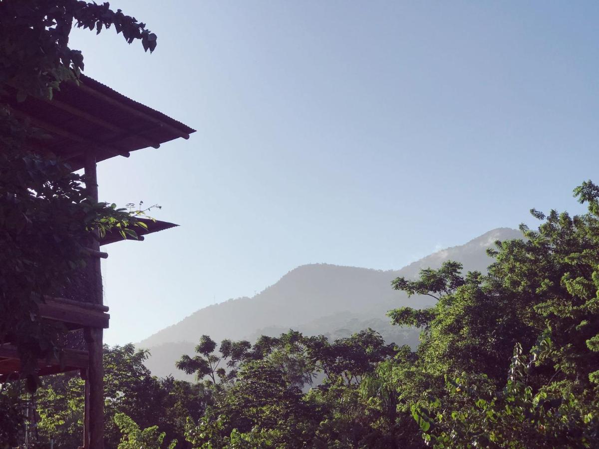 The Valley Tayrona Hostel- A Social Jungle Hostel El Zaino Luaran gambar