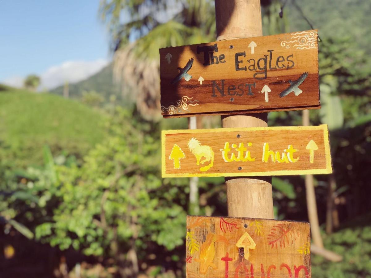 The Valley Tayrona Hostel- A Social Jungle Hostel El Zaino Luaran gambar