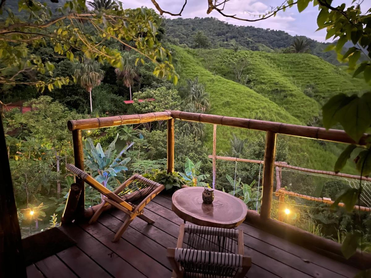 The Valley Tayrona Hostel- A Social Jungle Hostel El Zaino Luaran gambar