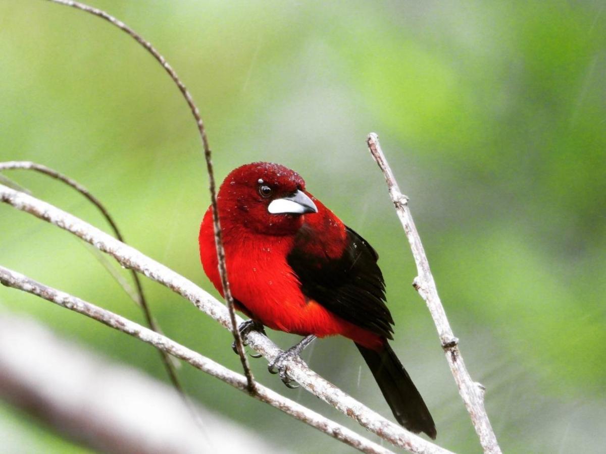The Valley Tayrona Hostel- A Social Jungle Hostel El Zaino Luaran gambar