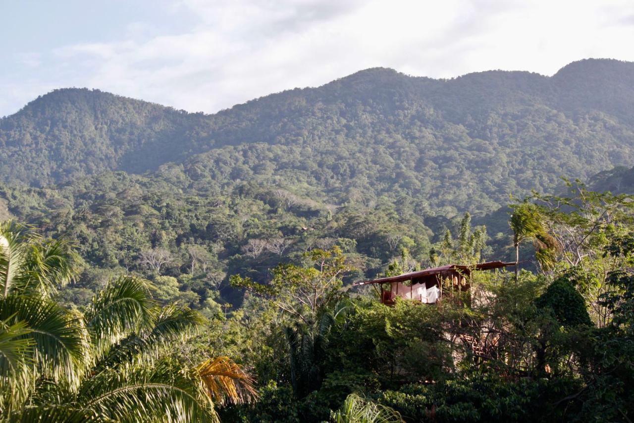 The Valley Tayrona Hostel- A Social Jungle Hostel El Zaino Luaran gambar