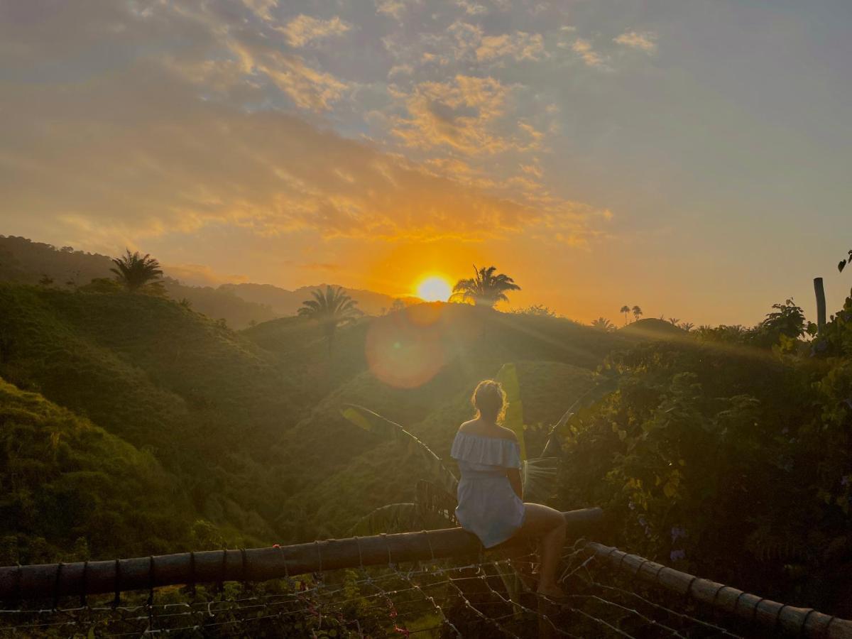 The Valley Tayrona Hostel- A Unique Social Jungle Hostel El Zaino Luaran gambar