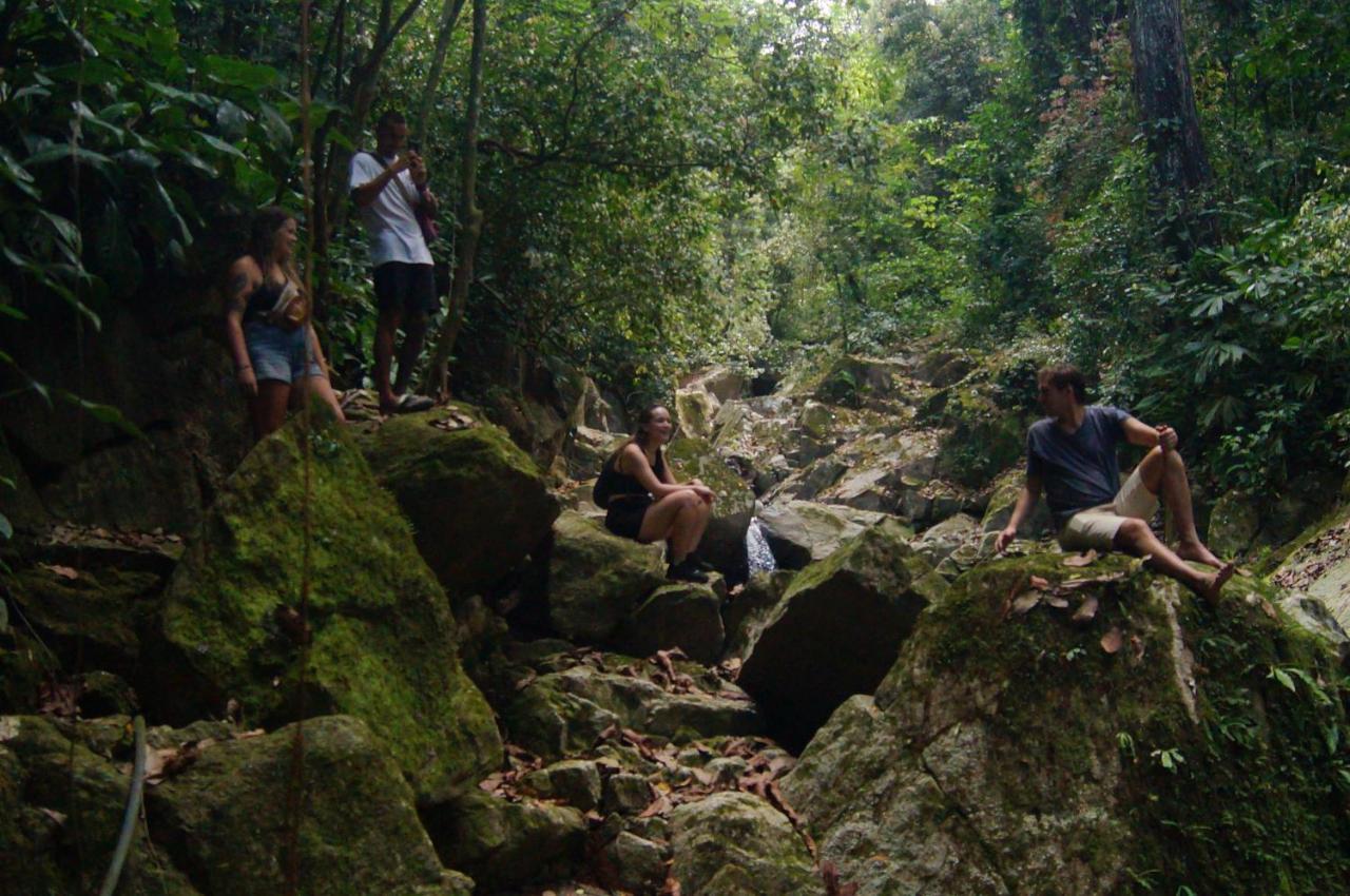 The Valley Tayrona Hostel- A Social Jungle Hostel El Zaino Luaran gambar