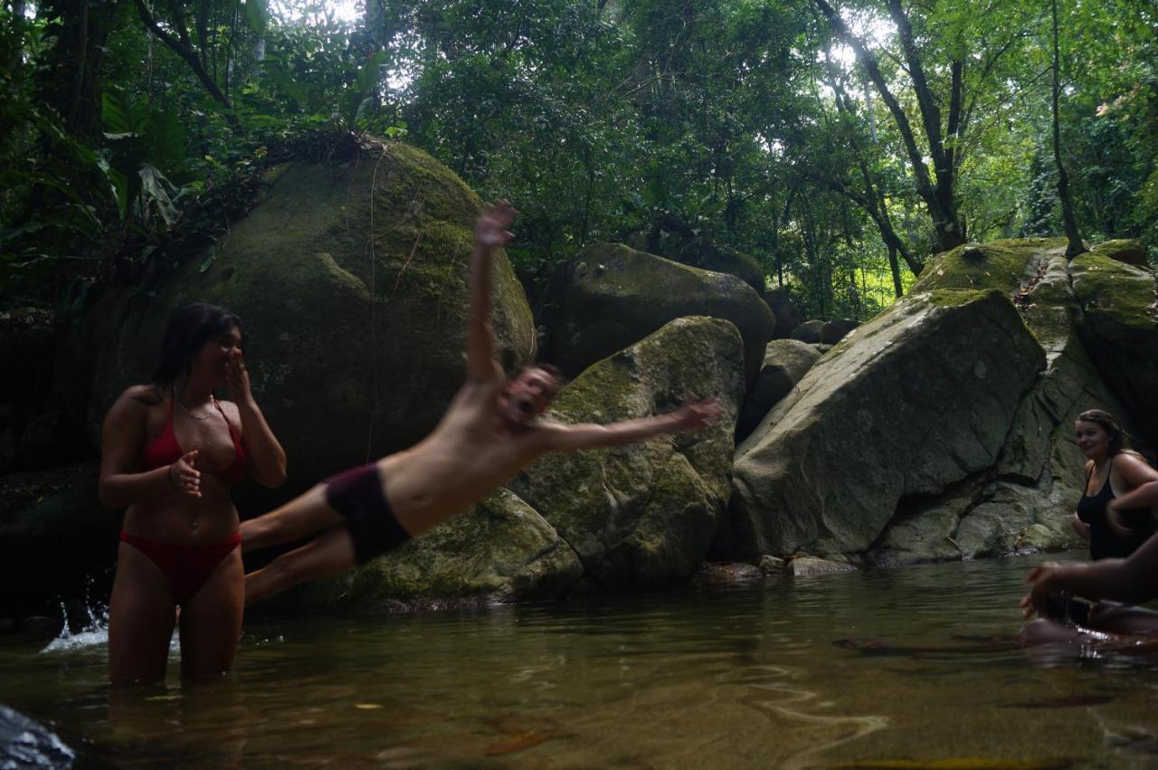 The Valley Tayrona Hostel- A Social Jungle Hostel El Zaino Luaran gambar