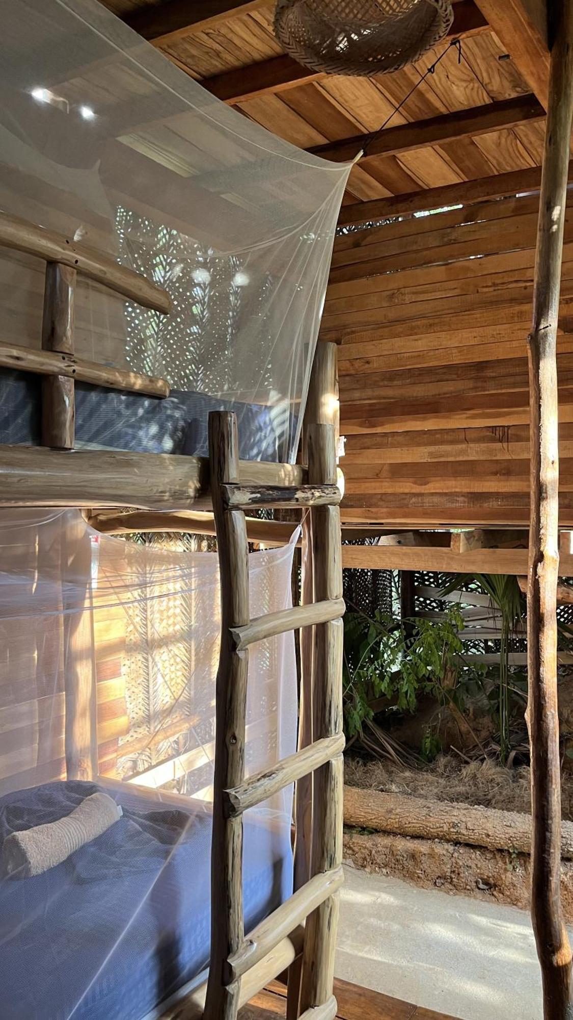 The Valley Tayrona Hostel- A Social Jungle Hostel El Zaino Luaran gambar