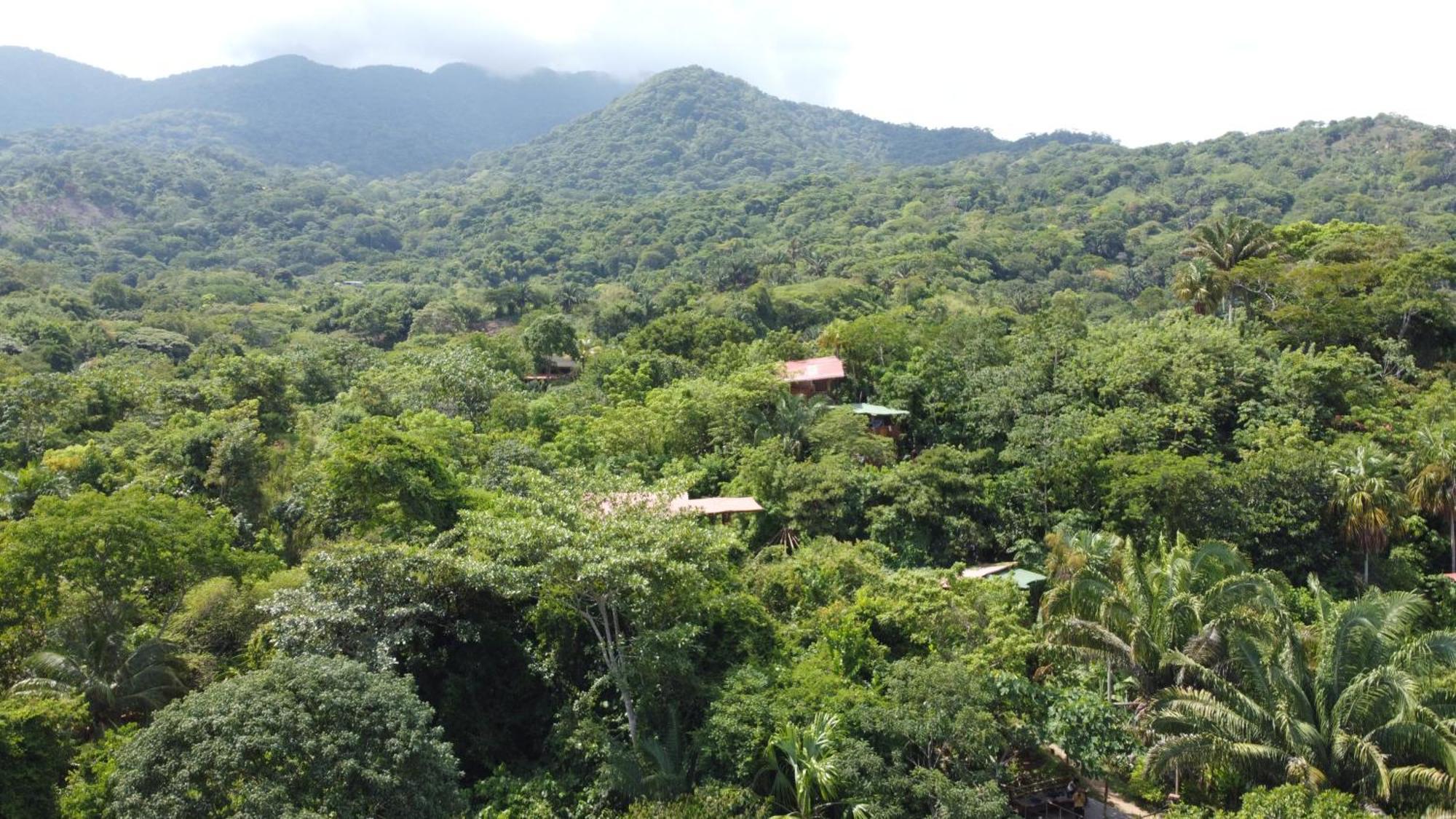 The Valley Tayrona Hostel- A Unique Social Jungle Hostel El Zaino Luaran gambar