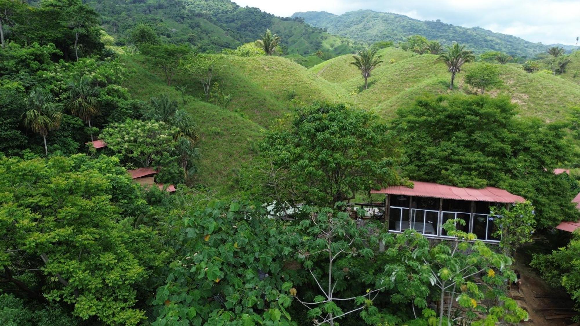 The Valley Tayrona Hostel- A Social Jungle Hostel El Zaino Luaran gambar
