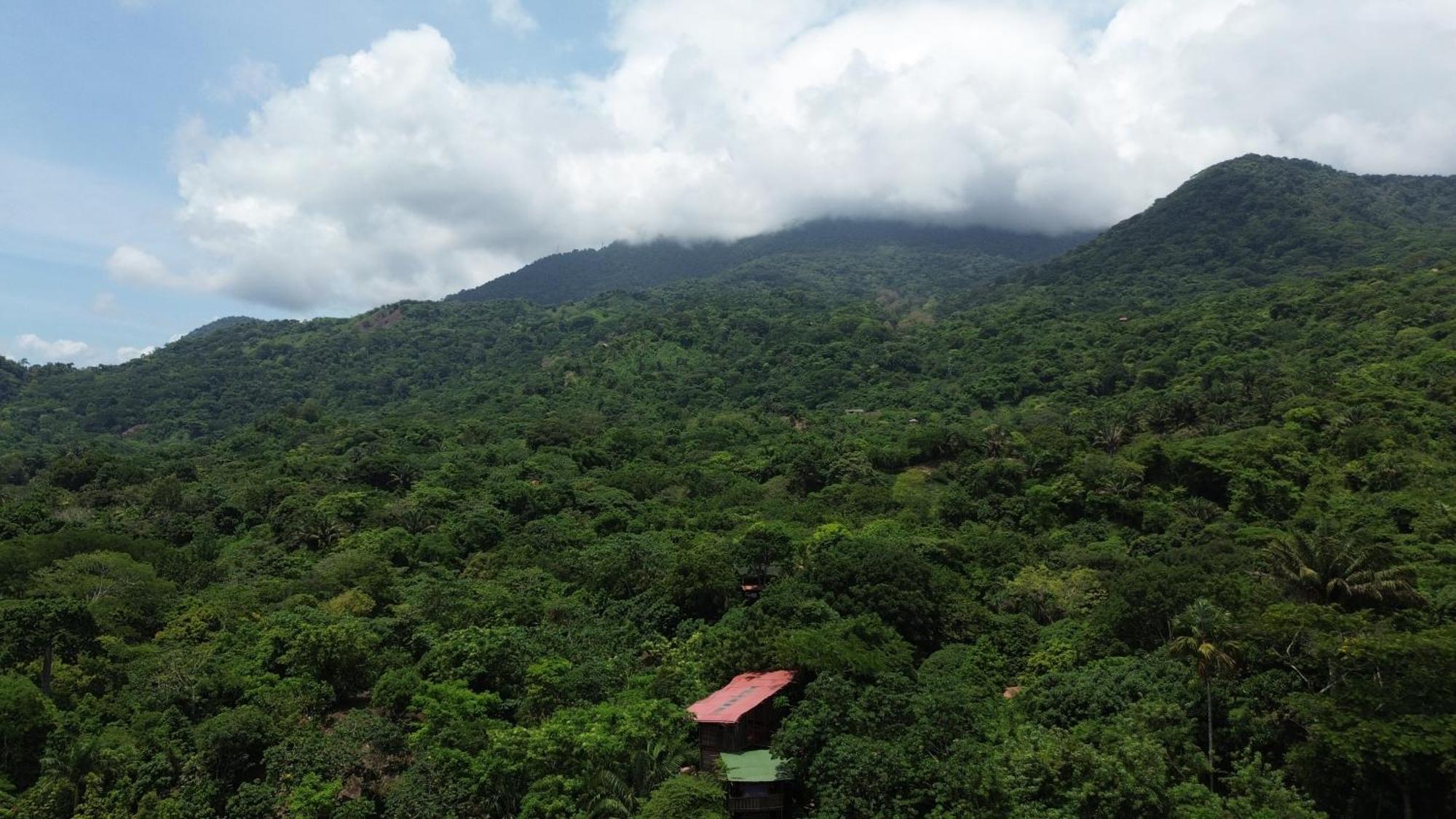 The Valley Tayrona Hostel- A Social Jungle Hostel El Zaino Luaran gambar