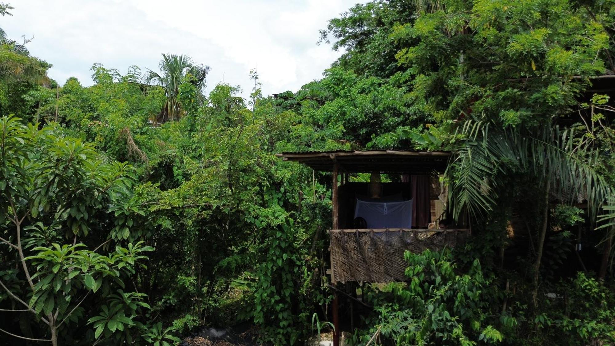 The Valley Tayrona Hostel- A Social Jungle Hostel El Zaino Luaran gambar