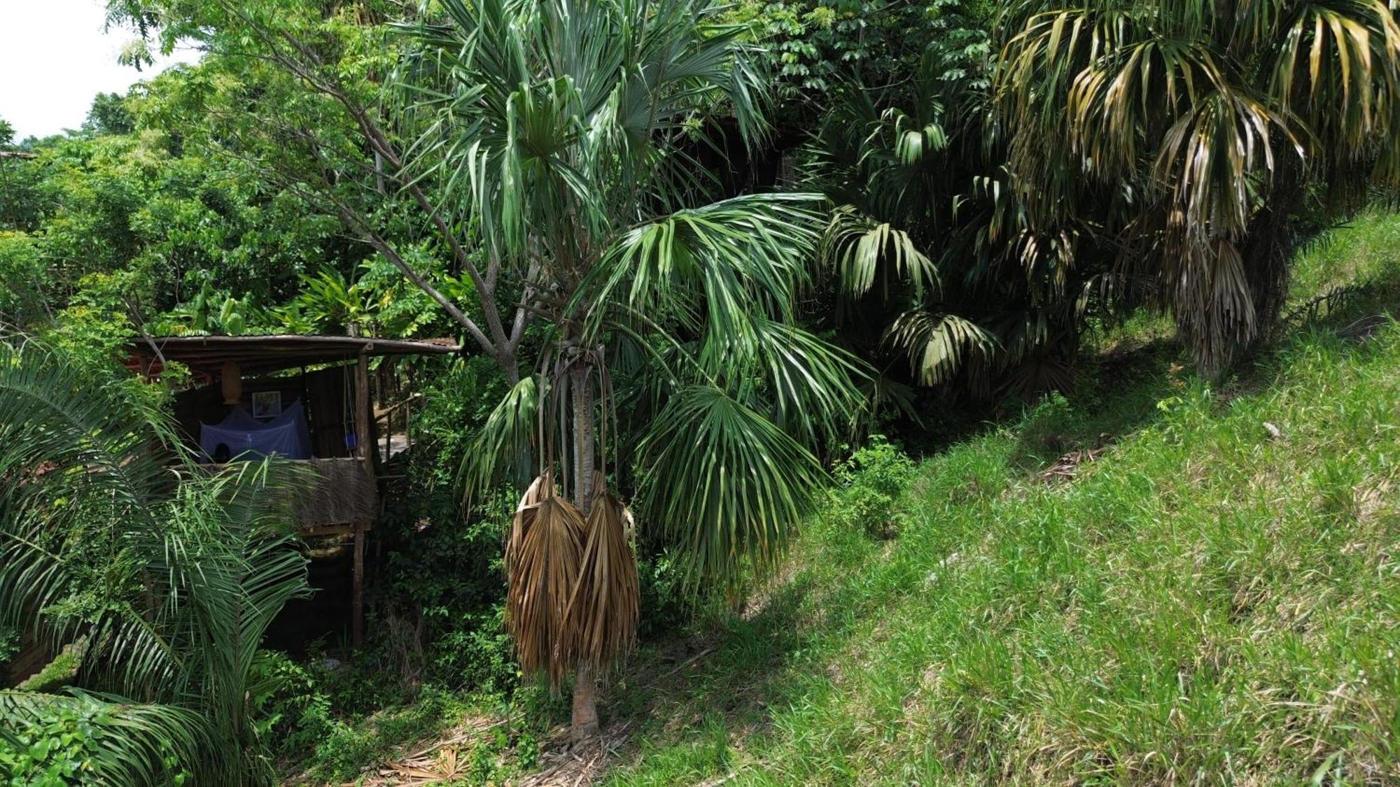 The Valley Tayrona Hostel- A Social Jungle Hostel El Zaino Luaran gambar
