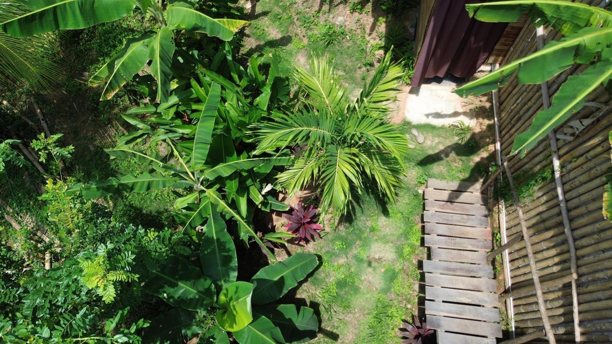 The Valley Tayrona Hostel- A Social Jungle Hostel El Zaino Luaran gambar