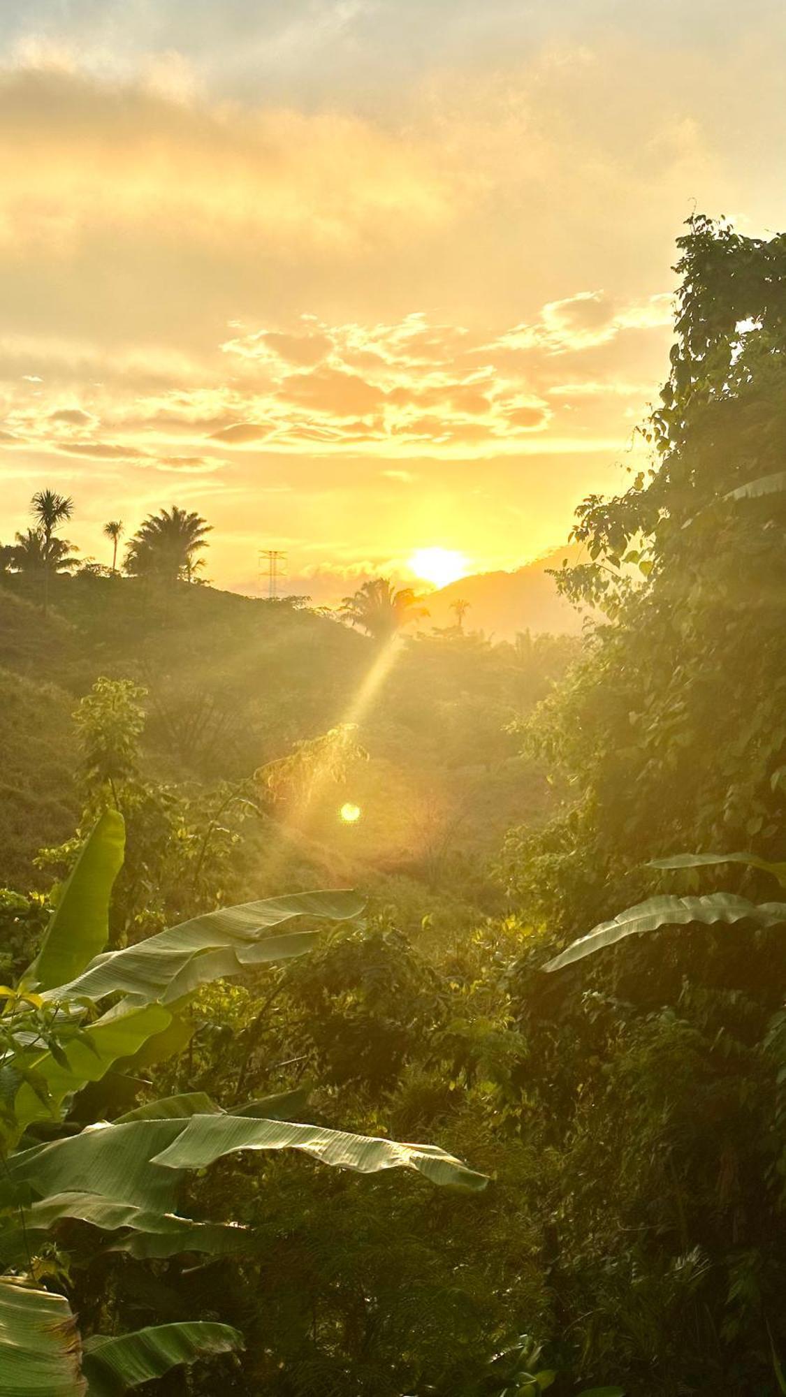The Valley Tayrona Hostel- A Social Jungle Hostel El Zaino Luaran gambar