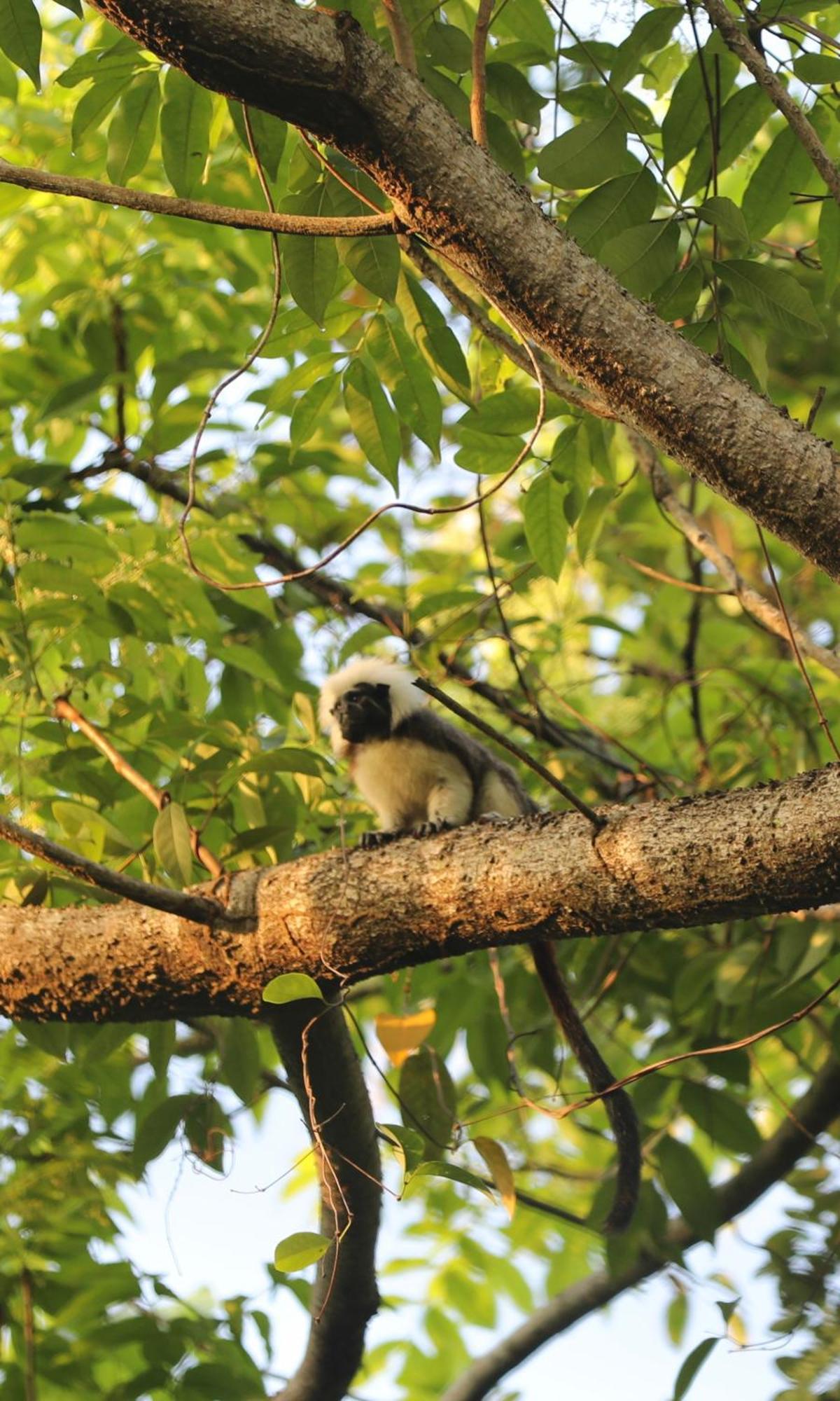 The Valley Tayrona Hostel- A Social Jungle Hostel El Zaino Luaran gambar