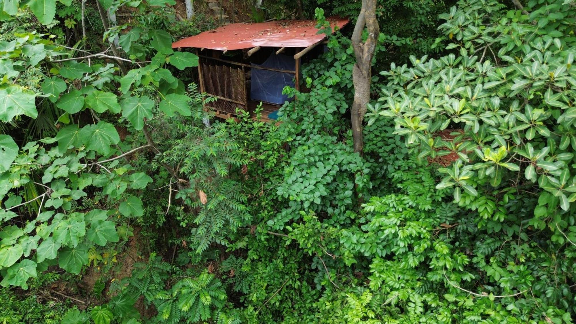 The Valley Tayrona Hostel- A Social Jungle Hostel El Zaino Luaran gambar