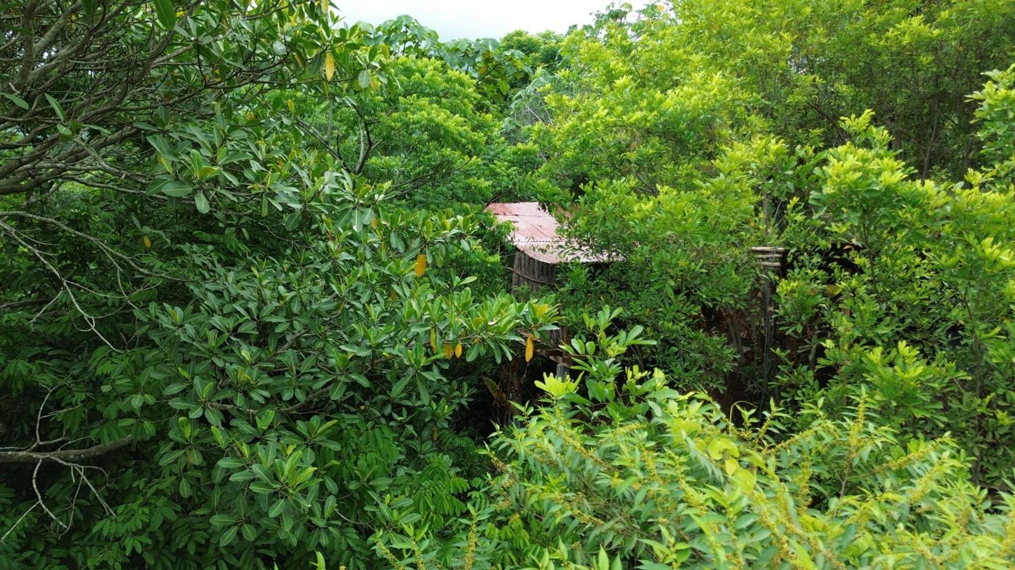 The Valley Tayrona Hostel- A Social Jungle Hostel El Zaino Luaran gambar