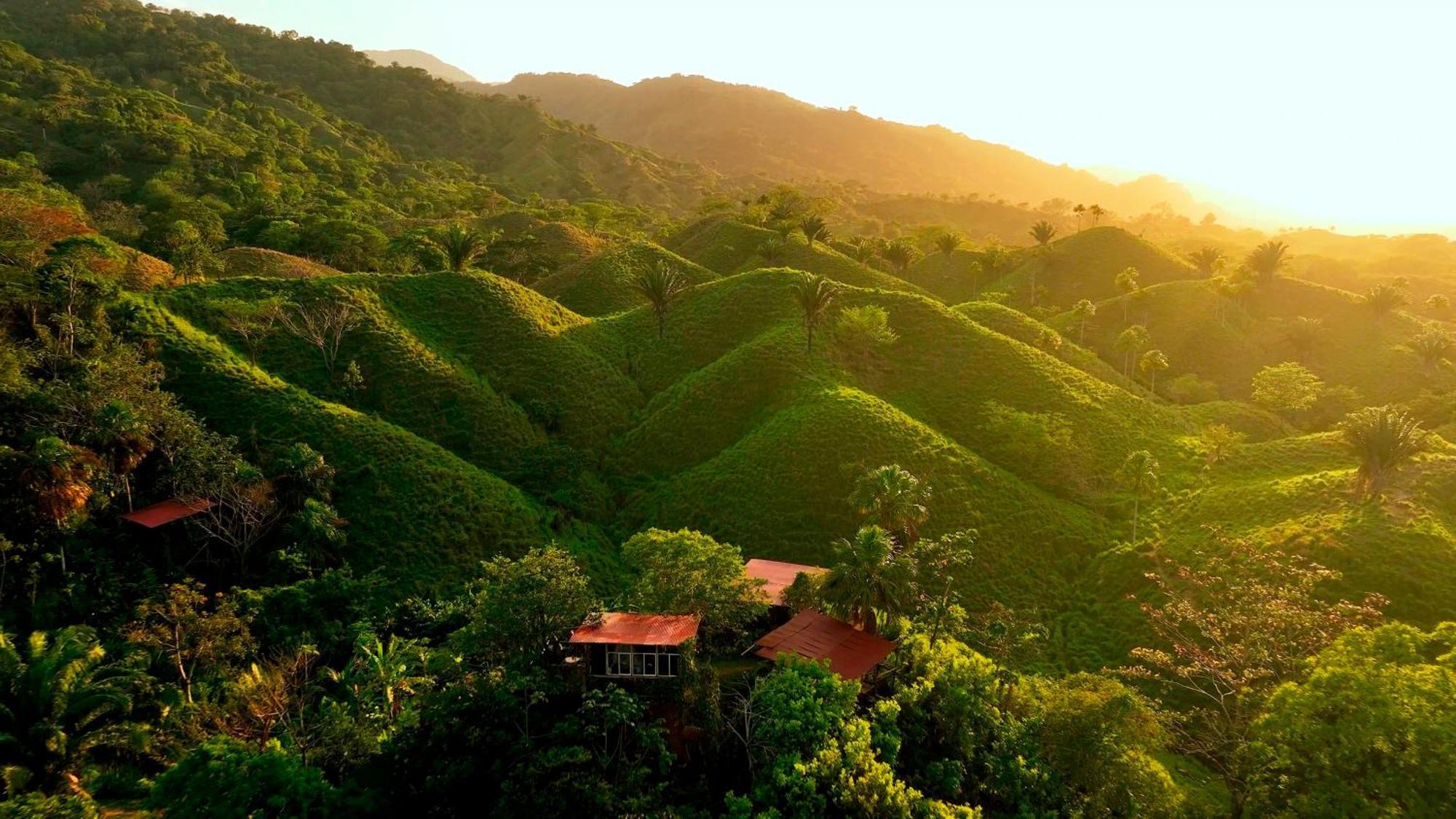 The Valley Tayrona Hostel- A Social Jungle Hostel El Zaino Luaran gambar